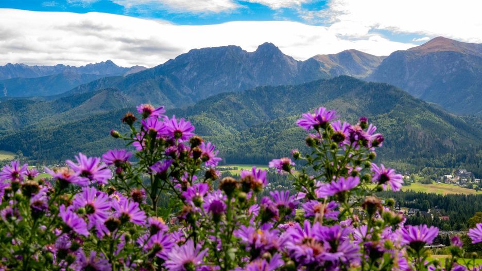 Tatry jesienią