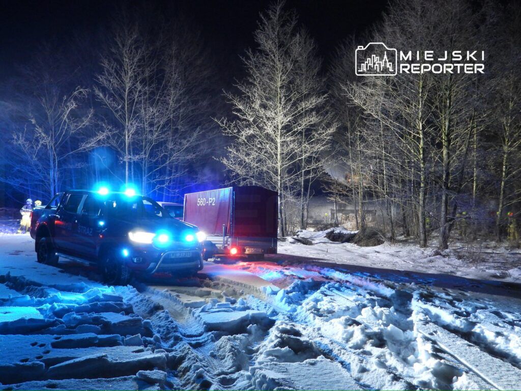 Strażacy przy akcji gaszenia pożaru w lesie, obok samochodu strażackiego z włączonymi sygnałami świetlnymi.