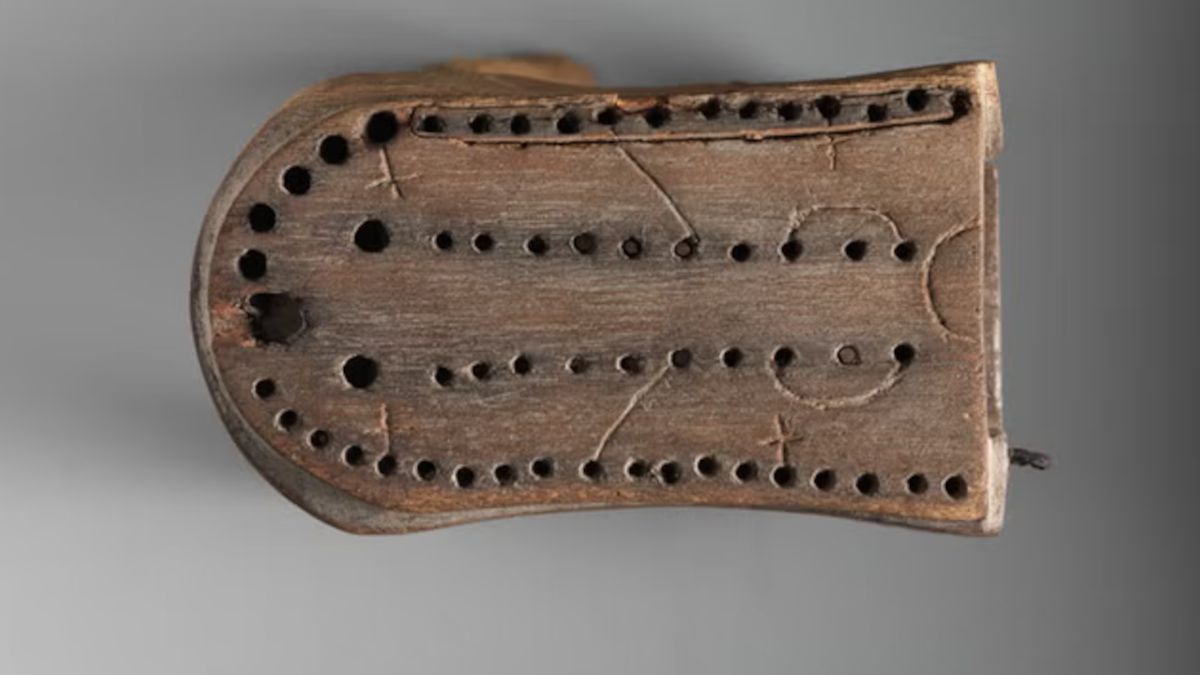  "Hounds and Jackals" (Psy i Szakale).