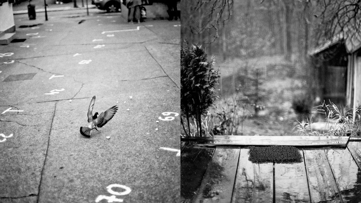 Frymografia: Mniej daje więcej 1