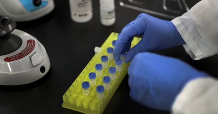 Skąd się wzięło tajemnicze DNA? Mamy go ponad 20 proc.