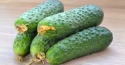 Nigdy nie wyrzucam przerośniętych ogórków. Robię z nich pyszny obiad dla całej rodziny
