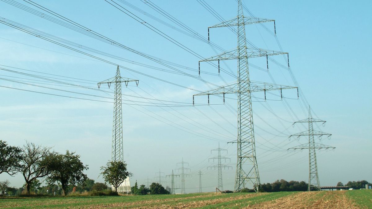 Dzięki wsparciu rządu i polskich firm energetycznych, rachunki za prąd w Polsce należą do jednych z najniższych w Europie