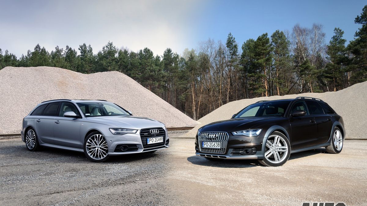 Zdjęcie ilustracyjne do artykułu