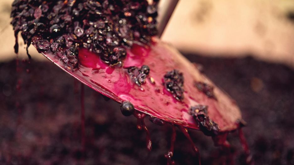 Bomba antyoksydantów. Zwalczają wodne rodniki, zmniejszają ryzyko raka