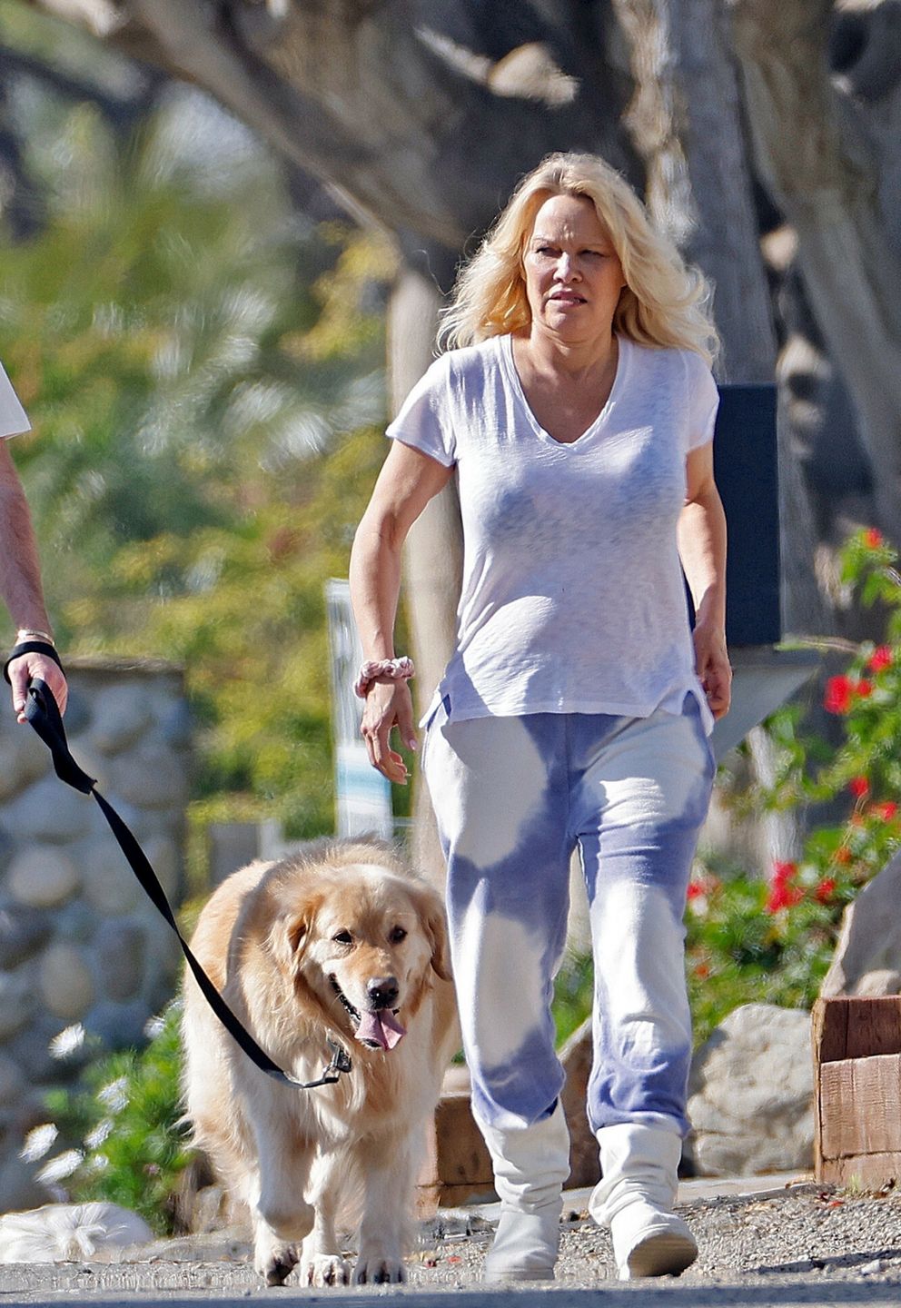 Pamela Anderson na spacerze z mężem "złotą rączką"