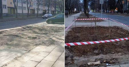Pacjenci zrobili sobie dziki parking przed szpitalem. Mieszkańcy przekopali klepisko i posadzili drzewa