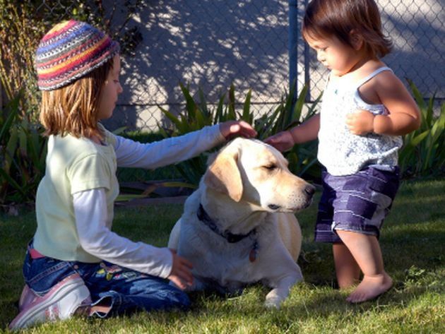 Toksyczny DEET w środkach na komary. Czytaj etykiety!