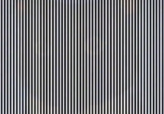 Iluzja optyczna. Co widzisz na obrazku?