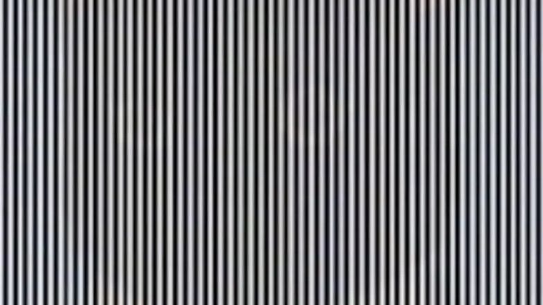 Iluzja optyczna. Co widzisz na obrazku?