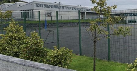 Ciężka choroba dopadła Irlandczyków po powrocie z Polski