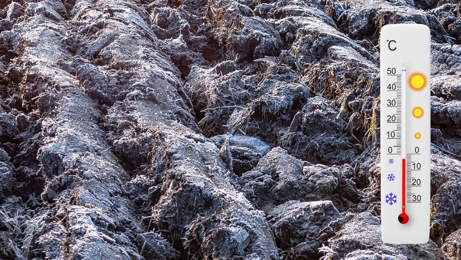 W najbliższych dniach będą przymrozki