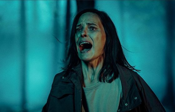 Ten serial przywodzi na myśl hit Netfliksa. Czy warto obejrzeć „Czarne stokrotki” od Canal+?