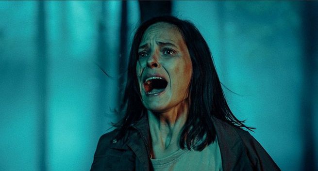 Ten serial przywodzi na myśl hit Netfliksa. Czy warto obejrzeć „Czarne stokrotki” od Canal+?