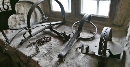 Umierała w strasznych męczarniach. Leśnicy powiedzieli "dość"