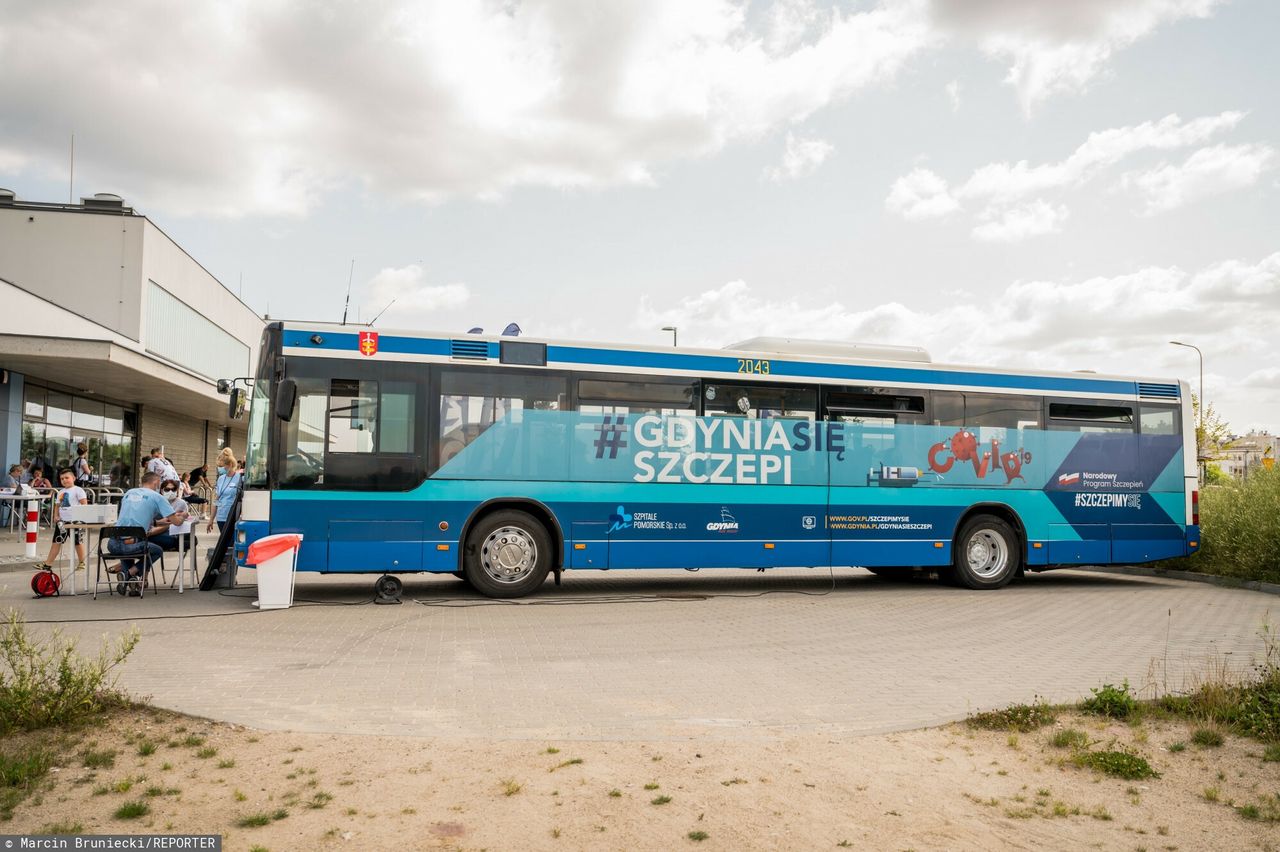 Pod koniec lipca Szczepibus zaczął kursować w Gdyni