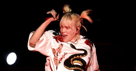 Billie Eilish przerwała koncert. Zaczęła wołać ochroniarzy
