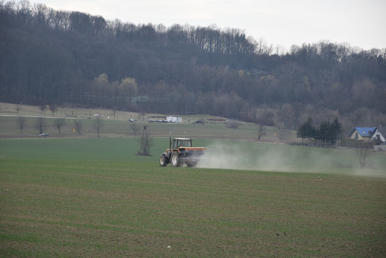 Trzeba przyciągnąć młodych do rolnictwa. Bruksela ma na to plan
