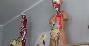 Będą nowe ekopracownie w szkołach podstawowych i średnich w Radomsku