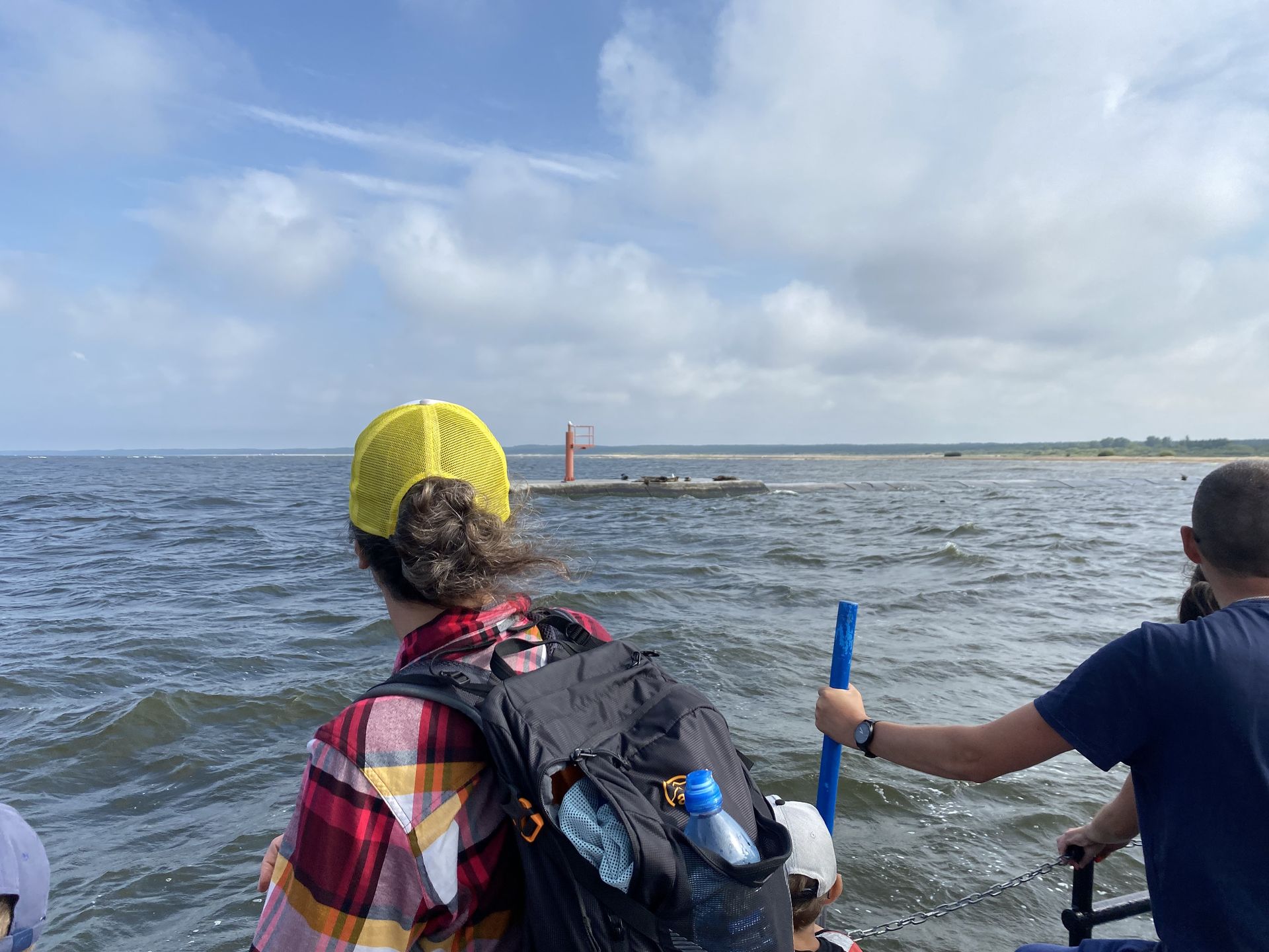 Turyści podziwiający foki 