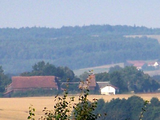 Obraz