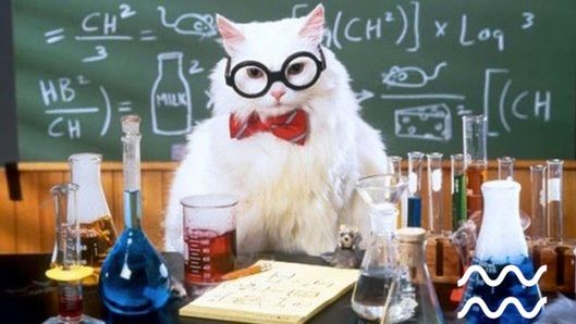 The best of Amerykańscy Naukowcy 1