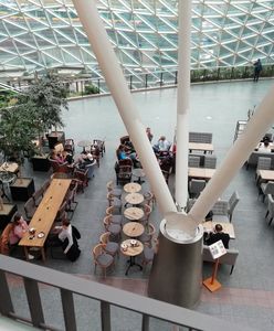 Wrocław. Bez opłaty koncesyjnej dla gastronomii? Radni zajmą się pomysłem