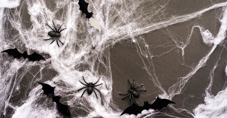 Jak zrobić sztuczną pajęczynę na Halloween? Proste sposoby