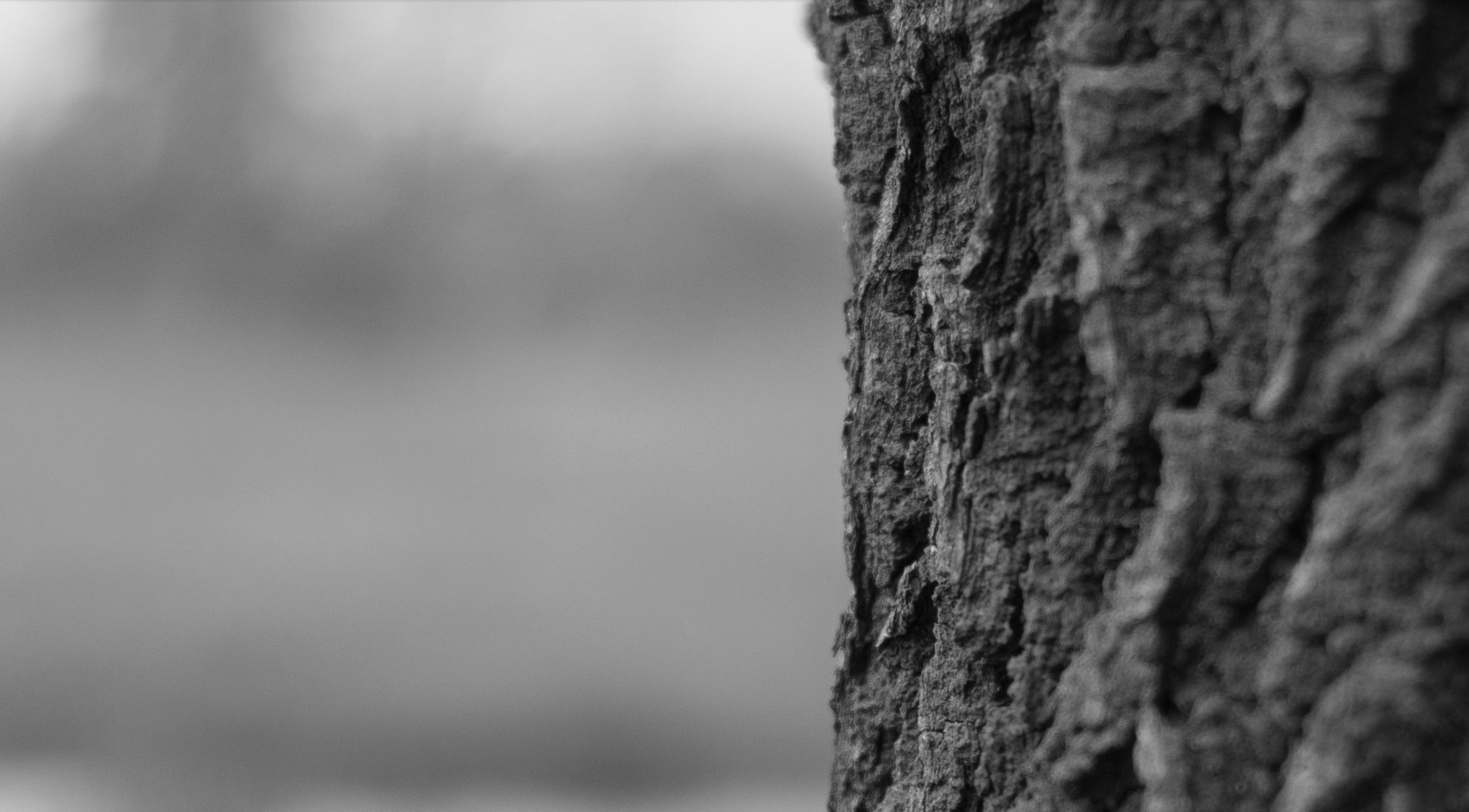 Apoteoza czterdziestu milimetrów, czyli Voigtländer Nokton 40 mm f/1,4 Classic 42