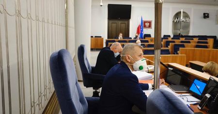 "Piątka dla zwierząt". Senat rozpatruje nowelizację ustawy