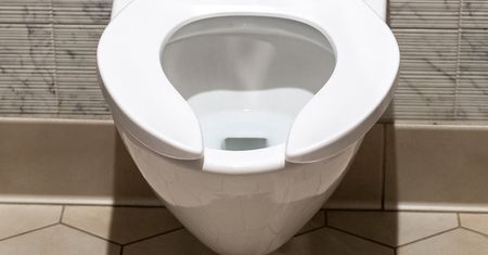 Dziura w desce sedesowej? Powód może zdziwić