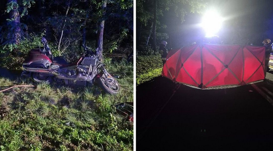 Mazowieckie: Motocykl zderzył się z łosiem. Pasażerka zginęła na miejscu