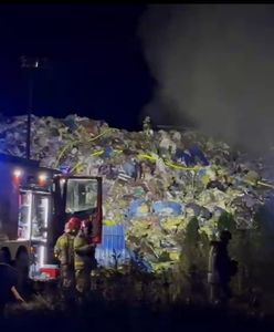 Pożar w Piotrkowie Trybunalskim. "Sytuacja opanowana"