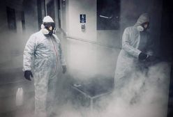 Sosnowiec. Potwierdzono przypadki koronawirusa w urzędzie miejskim i jednym z przedszkoli