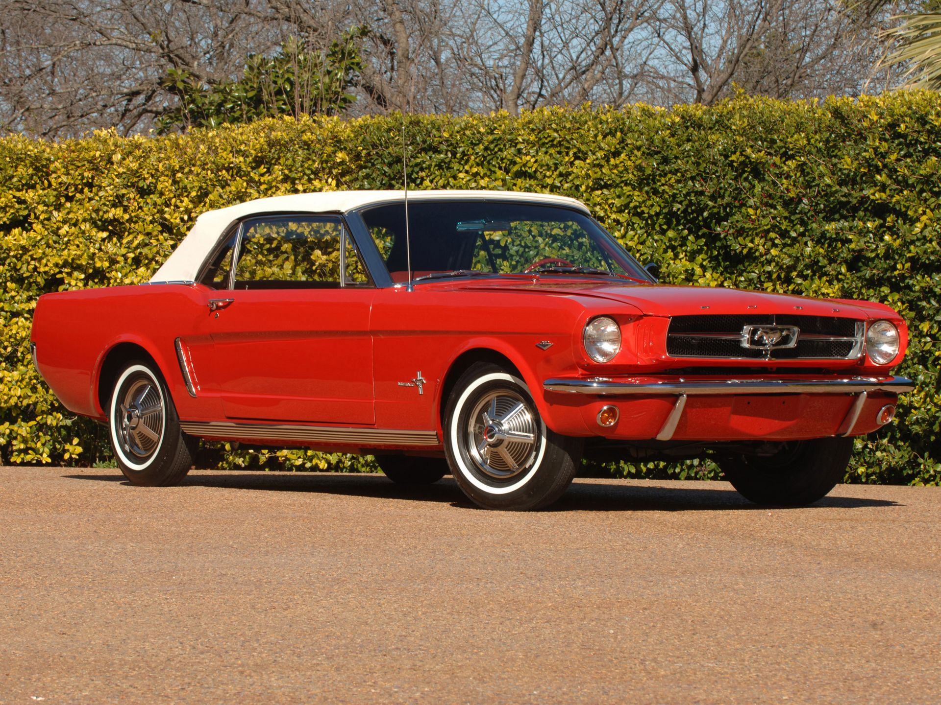Ford Mustang I: ewolucja od malca po Bossa [galeria zdjęć] 2