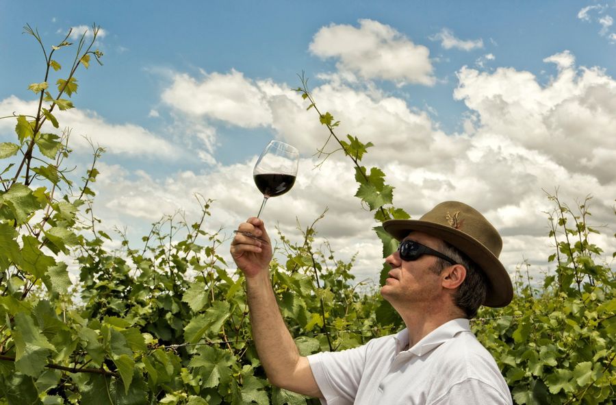 Swedish winemakers benefit from rising temperatures