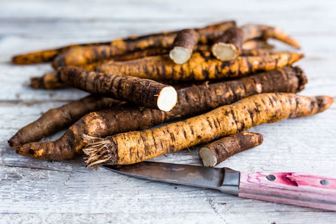 Superfood dla naszych jelit, który omijamy na targowiskach. Skorzonera - dlaczego warto ją jeść?