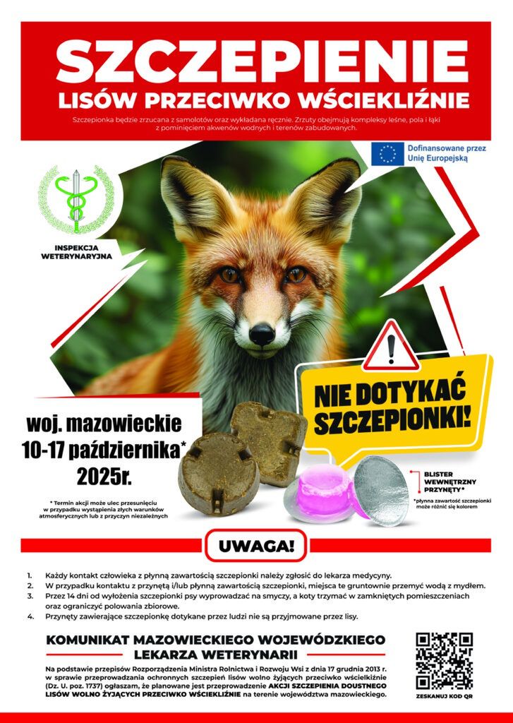 Lis z bliska, z wyraźnymi detalami futra, na tle kolorowego plakatu informacyjnego o szczepieniu. Widzoczne szczepionki w formie tabletek obok ostrzeżenia „NIE DOTYKAĆ SZCZEPIONKI!”.