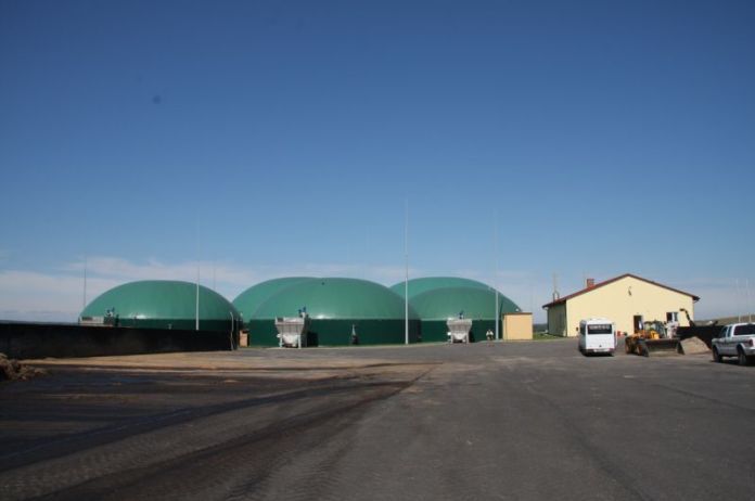 Miliardy na biogazownie w Polsce. Banki stawiają na zieloną energię