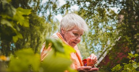 Syn kryminalista zamienił jej życie w koszmar. 65-latka uciekła mieszkać do piwnicy