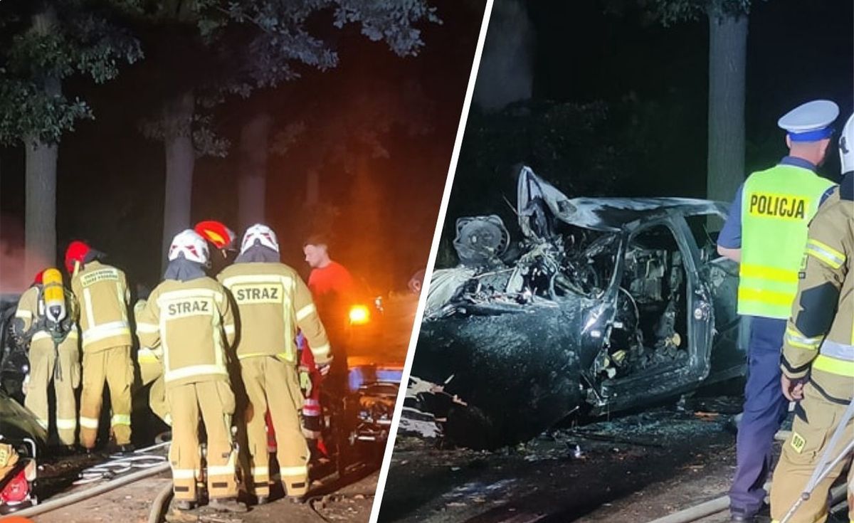 Wypadek na drodze Gościeszyn-Stara Dąbrowa