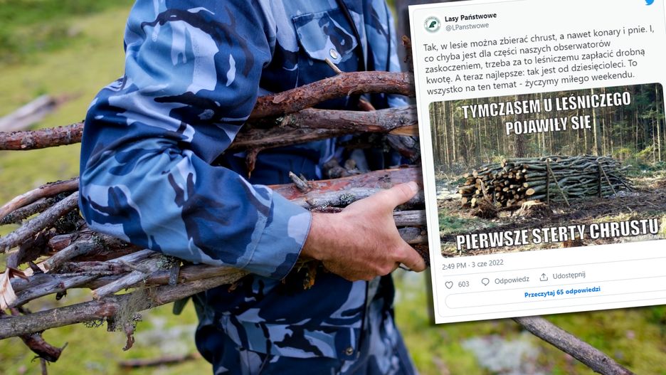 Na zdjęciu mężczyzna niosący gałęzie. Na zdjęcie doklejony jest post Lasów Państwowych na Twitterze