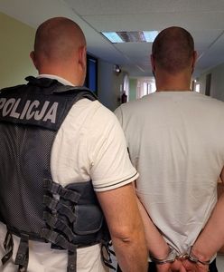 Poszukiwany listami gończymi zatrzymany. Schował się w wersalce