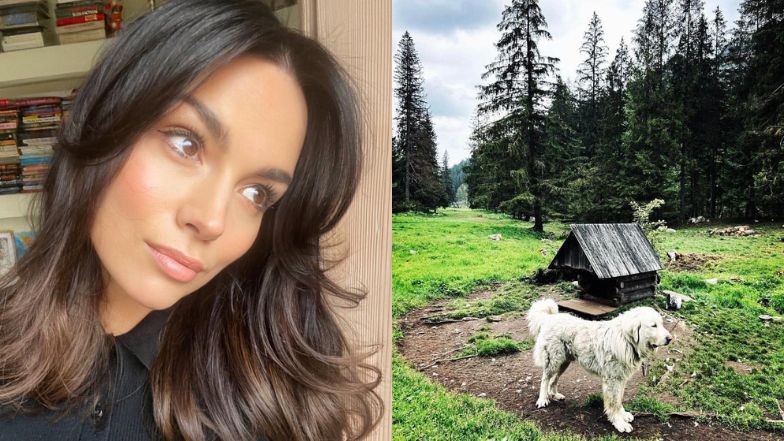 Sebastian Karpiel-Bułecka pokazał zdjęcie psa na łańcuchu. Paulina Krupińska komentuje