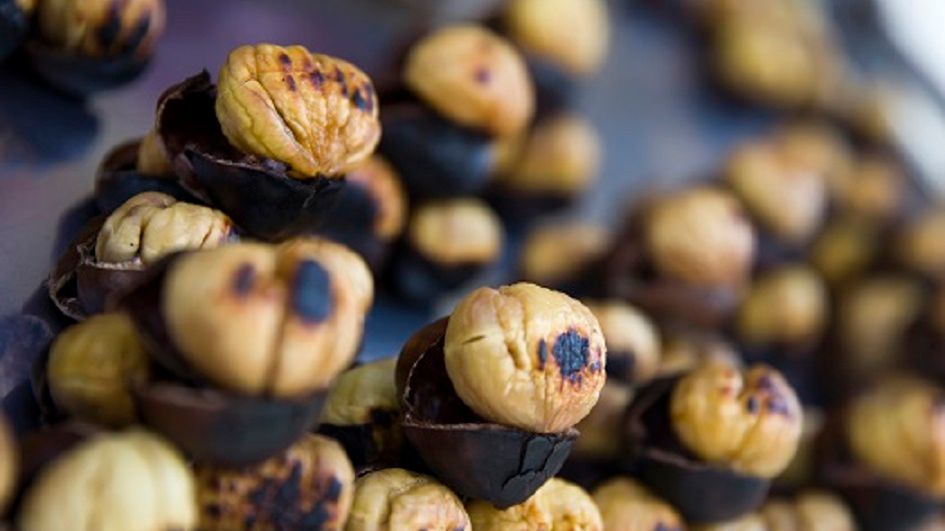 Jadalne kasztany to źródło błonnika pokarmowego