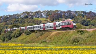 Sukces polskiego giganta. Dostarczy pociągi do Rumunii