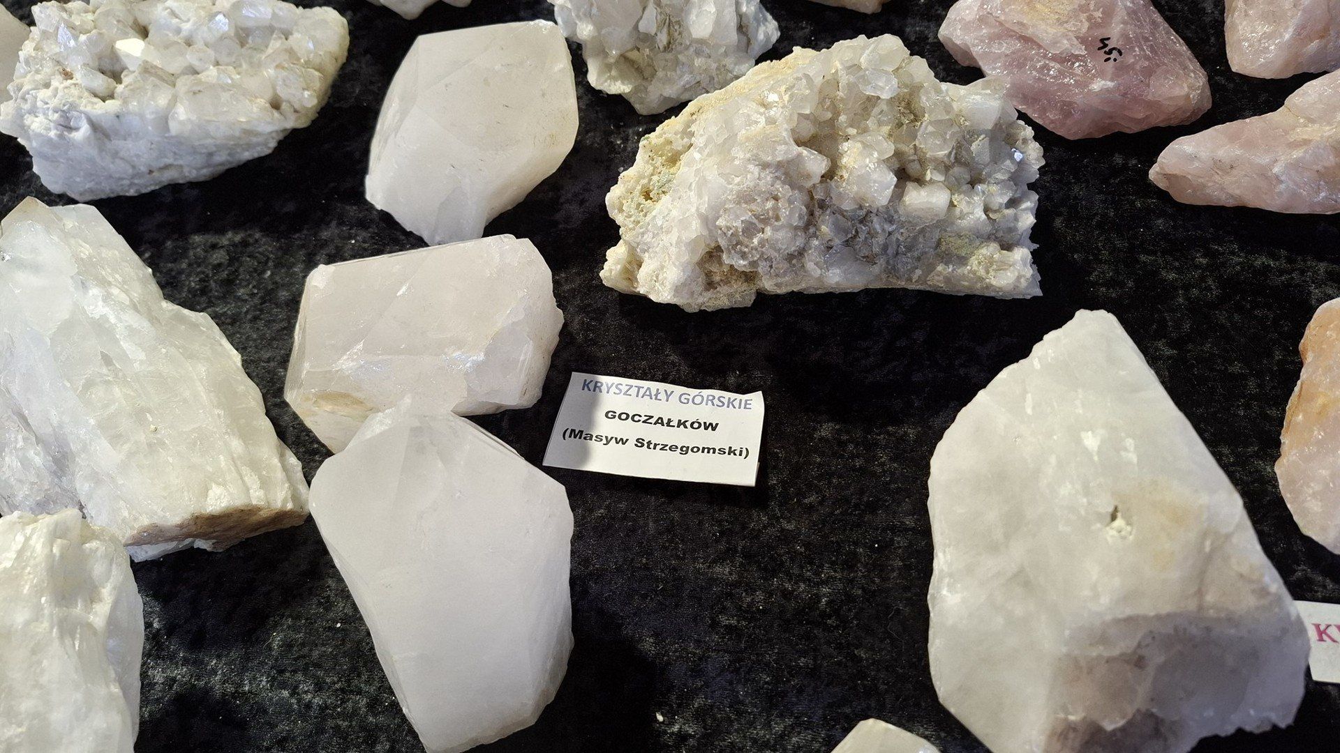 Wyjątkowa Giełda Minerałów pod Platanami we Wrocławiu