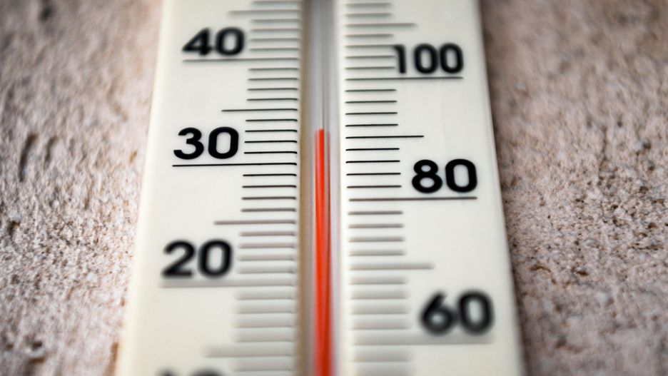 Zdjęcie ilustraycjne