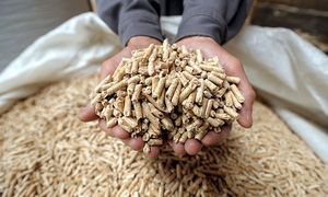 Dramatycznie drogi pellet. Pojawiła się kolejna alternatywa