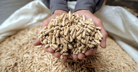 Dramatycznie drogi pellet. Pojawiła się kolejna alternatywa